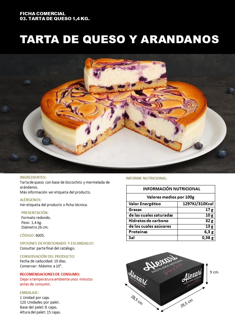 Diapositiva17